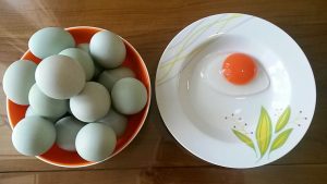Cara Mengatasi Alergi Telur dengan Telur Bebek